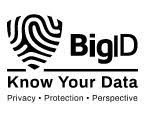 logo BigID